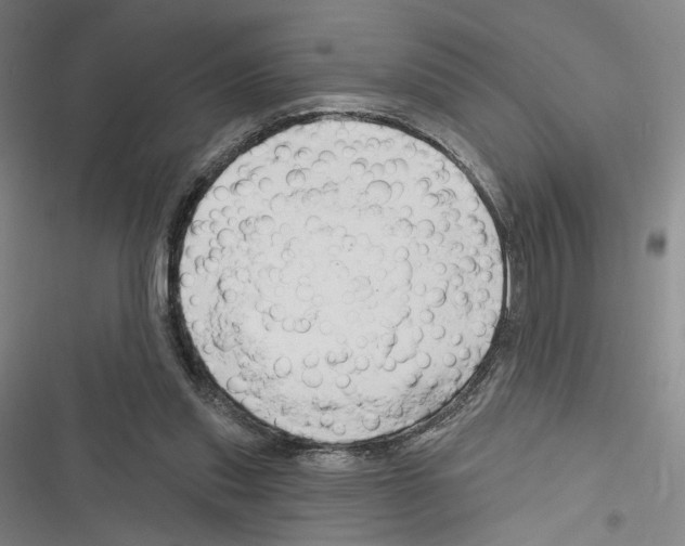 X0000116280253201001111041