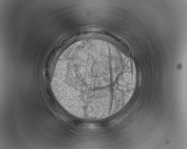 X0000116280254201001111041