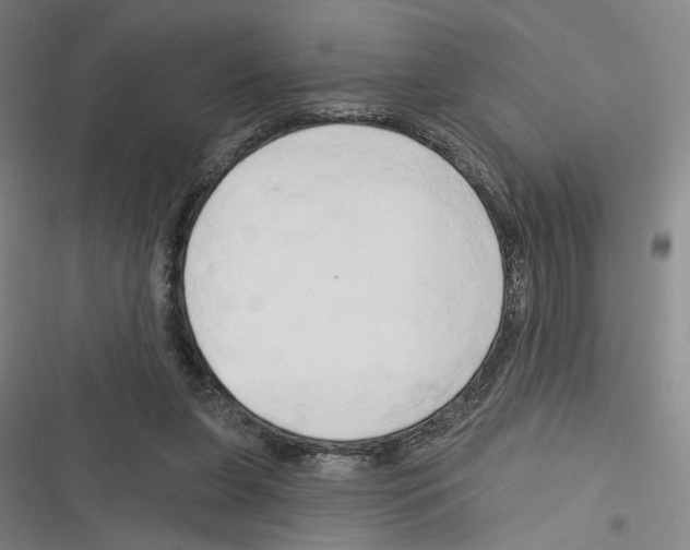 X0000116280255201001111041