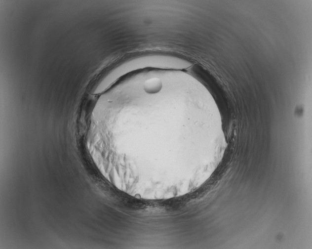 X0000116280256201001111041