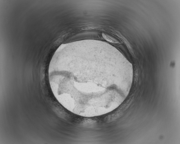 X0000116280257201001111041