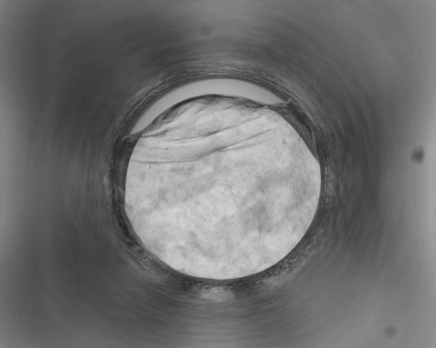 X0000116280258201001111041