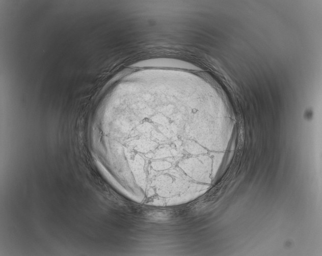X0000116280259201001111041