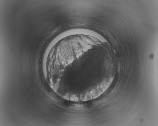 X0000116280260201001111042