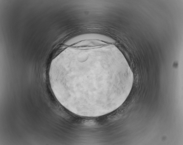 X0000116280262201001111042