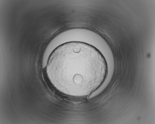 X0000116280264201001111042