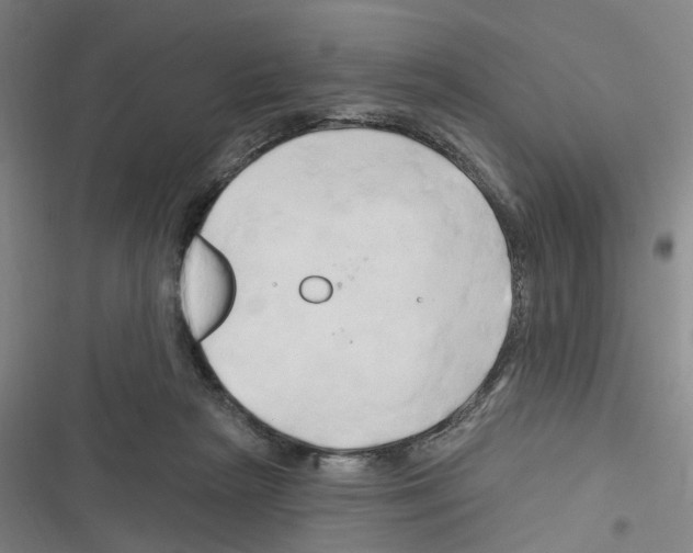 X0000116280265201001111042