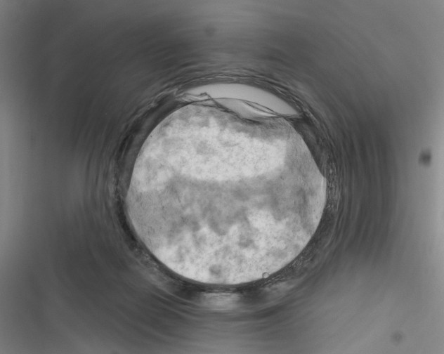 X0000116280266201001111042