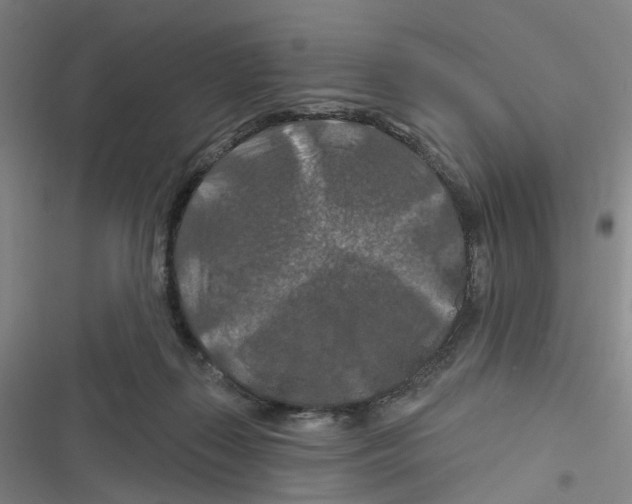 X0000116280267201001111042