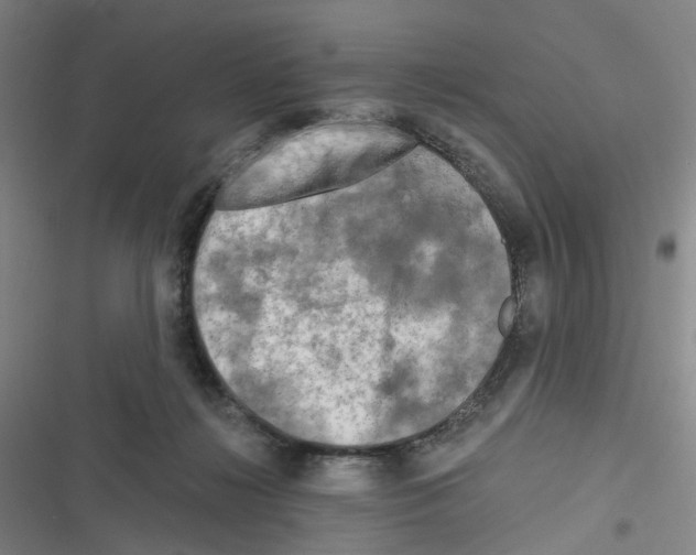 X0000116280268201001111042