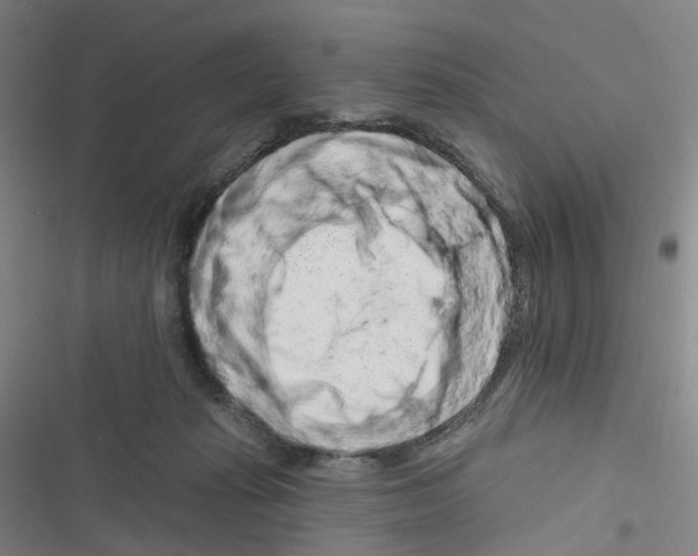 X0000116280269201001111042