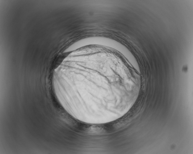 X0000116280270201001111042