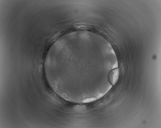 X0000116280271201001111042