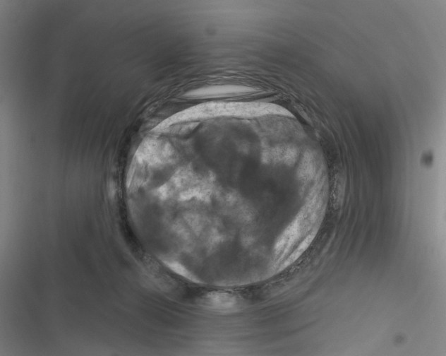 X0000116280272201001111042