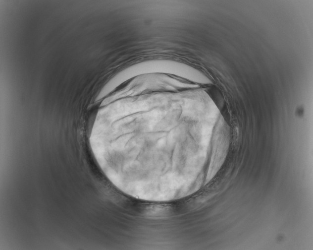 X0000116280274201001111042
