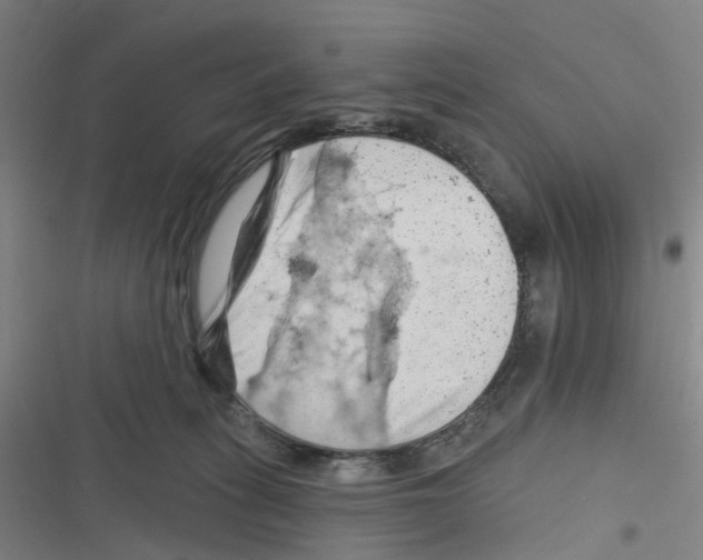 X0000116280275201001111042