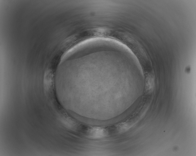 X0000116280276201001111042