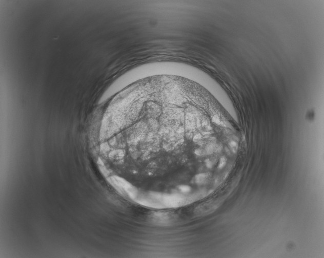 X0000116280277201001111042