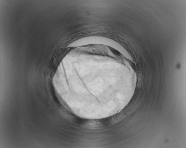 X0000116280278201001111042