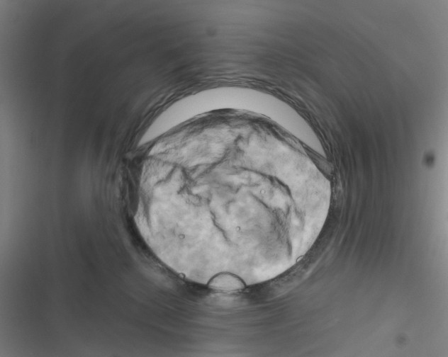 X0000116280280201001111042
