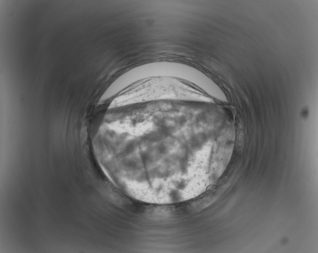 X0000116280282201001111042