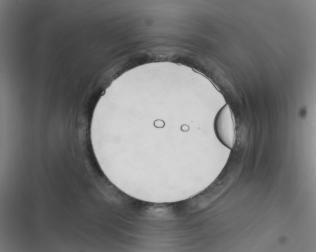 X0000116280283201001111042