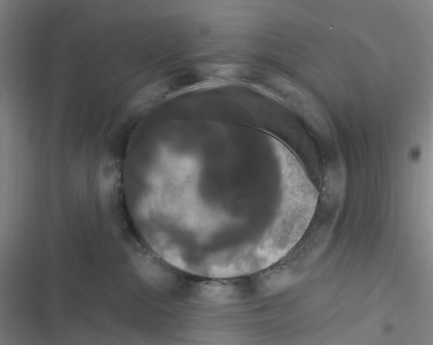 X0000116280284201001111042