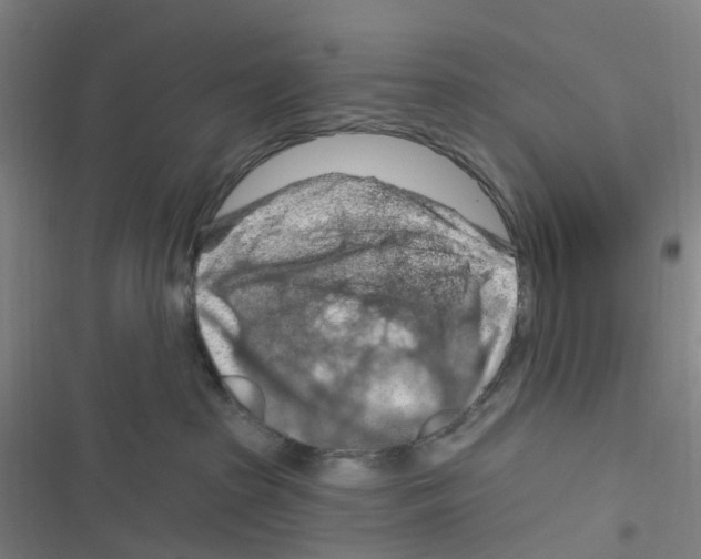 X0000116280285201001111042