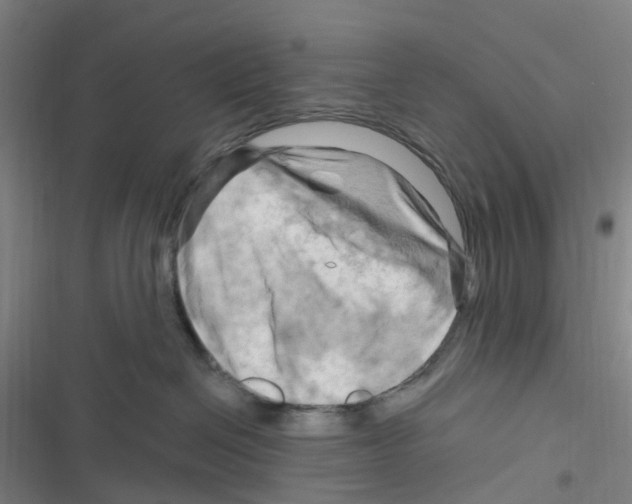 X0000116280286201001111042