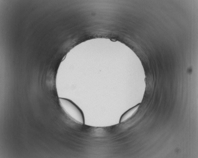 X0000116280287201001111042