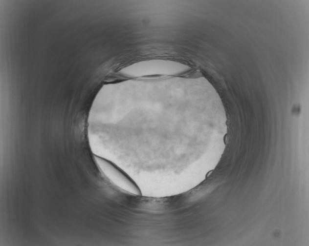 X0000116280288201001111042