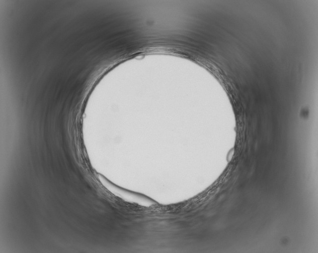 X0000116280289201001111041