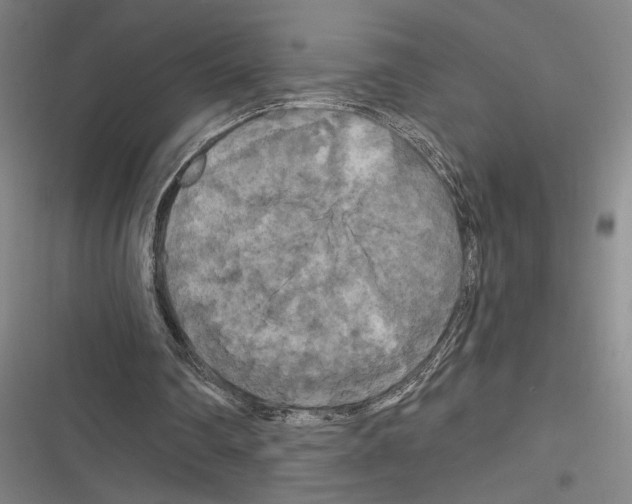X0000116280290201001111041