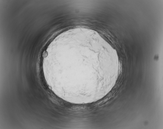 X0000116280291201001111041