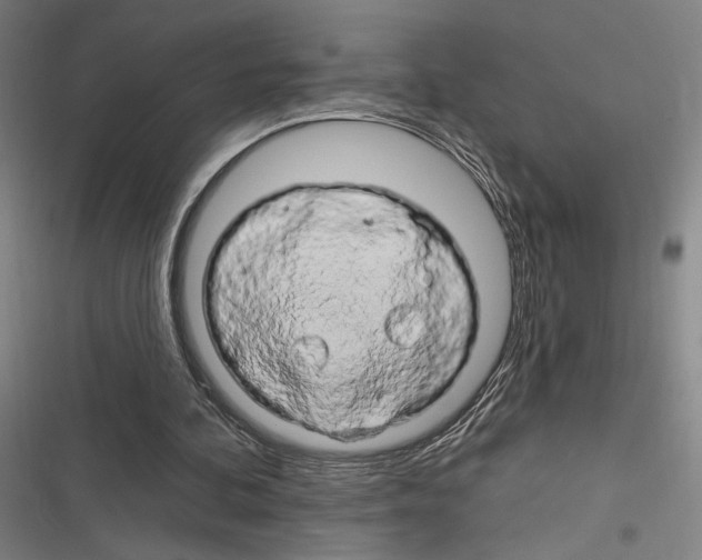 X0000116280292201001111041