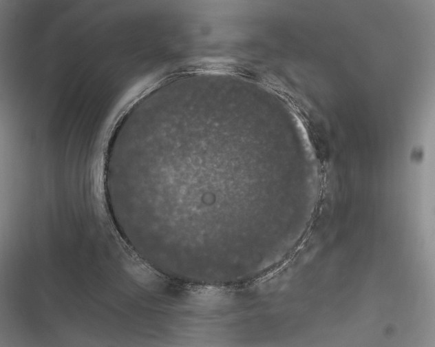 X0000116280293201001111041