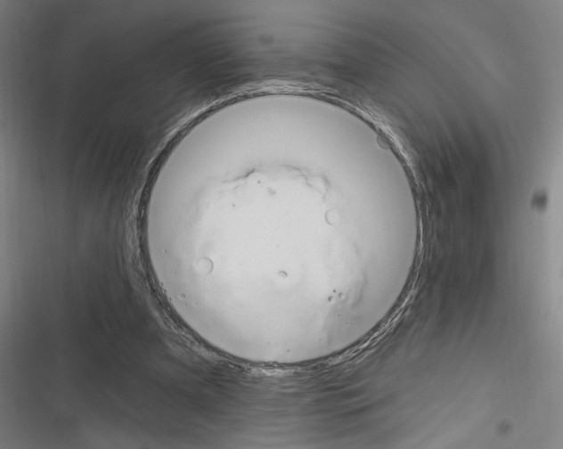 X0000116280297201001111041