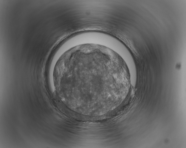X0000116280300201001111041