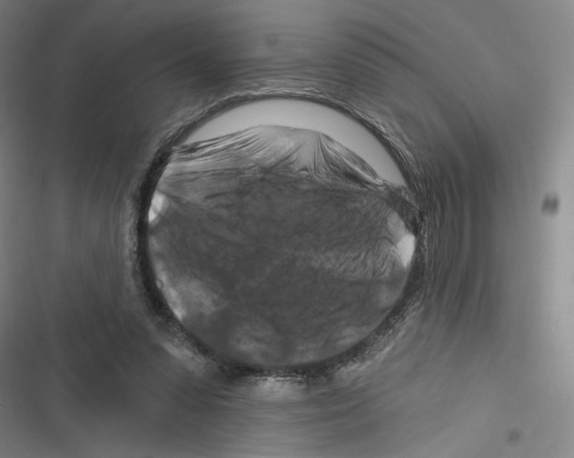 X0000116280303201001111041