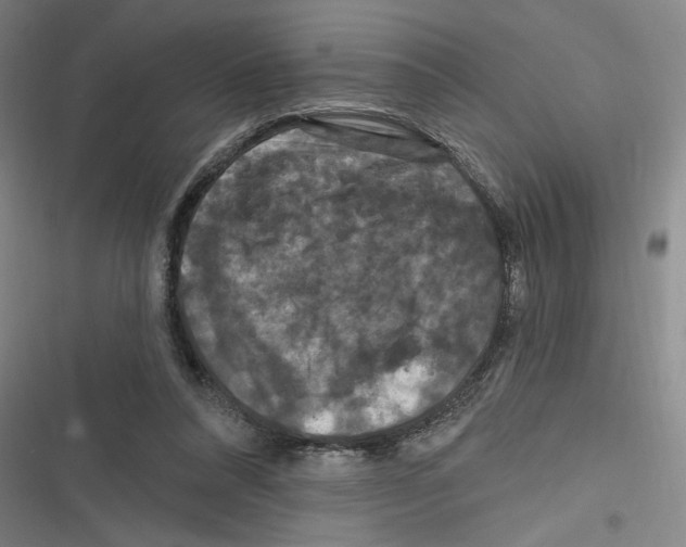 X0000116280304201001111041