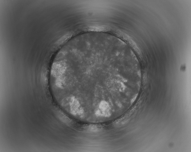 X0000116280305201001111041
