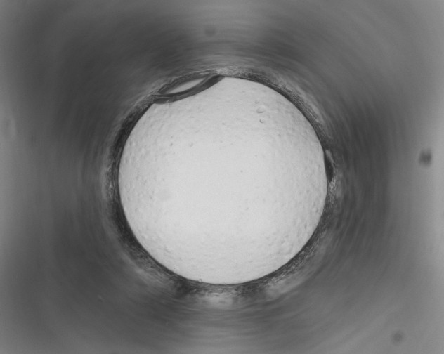 X0000116280306201001111041