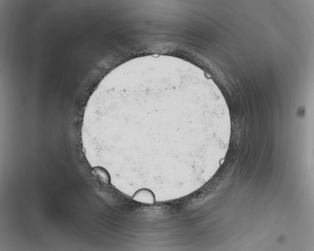 X0000116280307201001111041