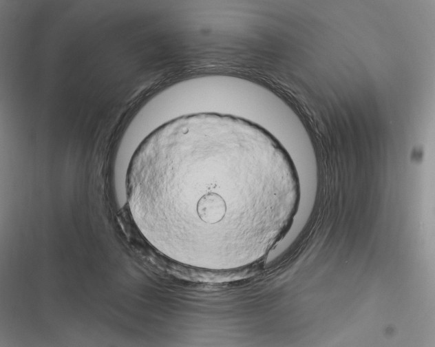 X0000116280308201001111041