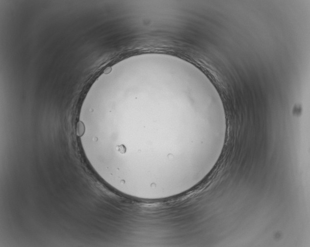 X0000116280309201001111041