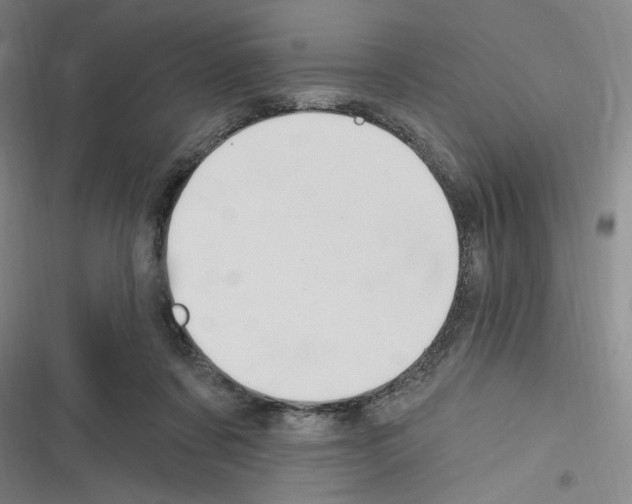 X0000116280311201001111041