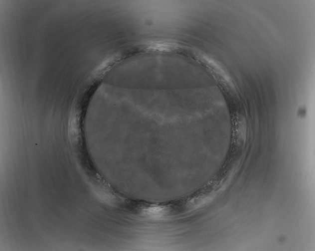 X0000116280312201001111041