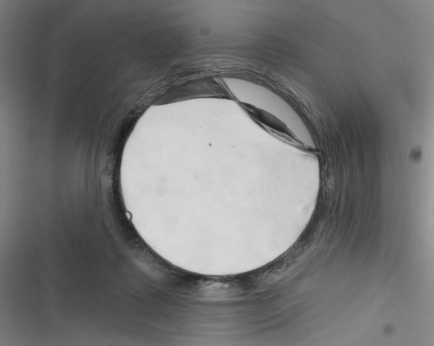 X0000116280315201001111041