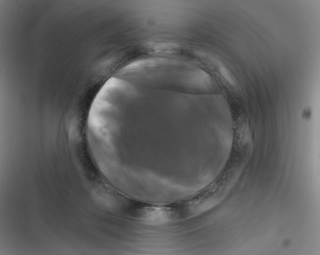 X0000116280316201001111041