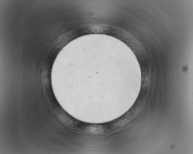 X0000116280317201001111041